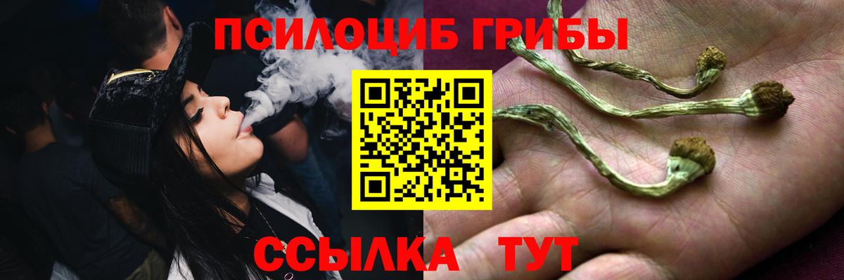Псилоцибиновые грибы ЛСД  Вход с VPN  Вязьма 